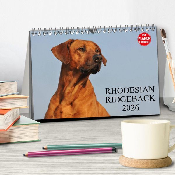 Produktbild: Rhodesian Ridgeback 2026 (Tischkalender 2026 DIN A5 quer), CALVENDO Monatskalender