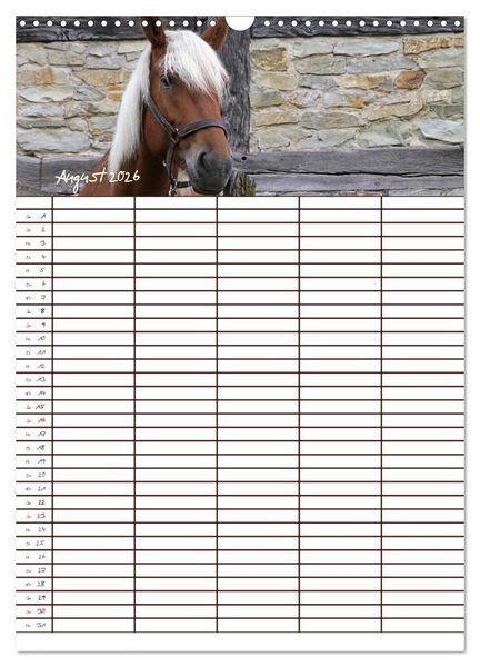 Produktbild: Der Kaltblut-Familienplaner (Wandkalender 2026 DIN A3 hoch), CALVENDO Monatskalender