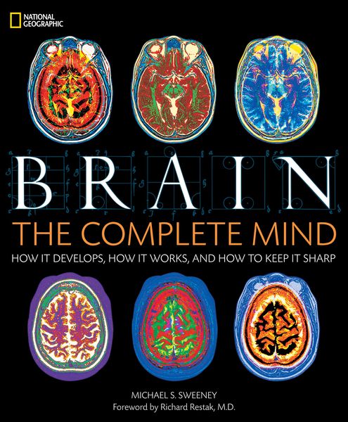Produktbild: Brain