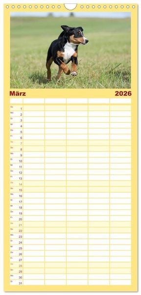 Produktbild: Familienplaner 2026 - Appenzeller Sennenhunde - Fr&ouml;hliche Kameraden mit 5 Spalten (Wandkalender, 21 x 45 cm) CALVENDO