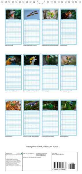 Produktbild: Papageien - Frech, sch&ouml;n und schlau - Familienplaner hoch (Wandkalender 2022 , 21 cm x 45 cm, hoch)