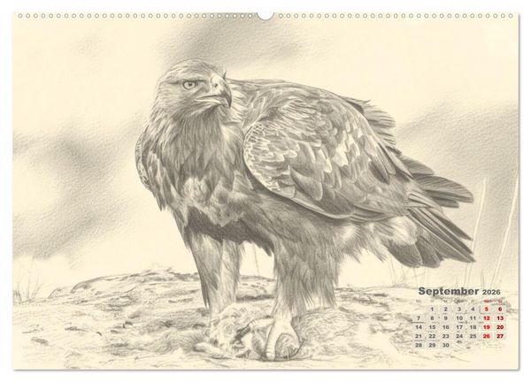 Produktbild: Wilde Seelen - Tierische Momente in Graphit (Wandkalender 2026 DIN A2 quer), CALVENDO Monatskalender