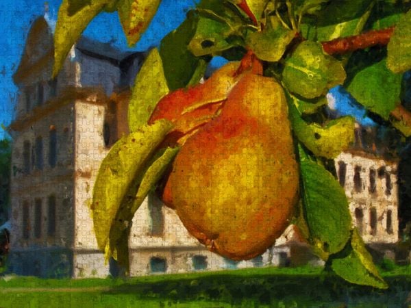 Produktbild: CALVENDO Puzzle Schloss Ribbeck und die Birne im Havelland. | 1000 Teile Lege-Gr&ouml;&szlig;e 64x48cm Foto-Puzzle f&uuml;r gl&uuml;ckliche Stunden