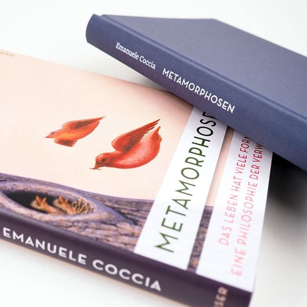 Produktbild: Metamorphosen
