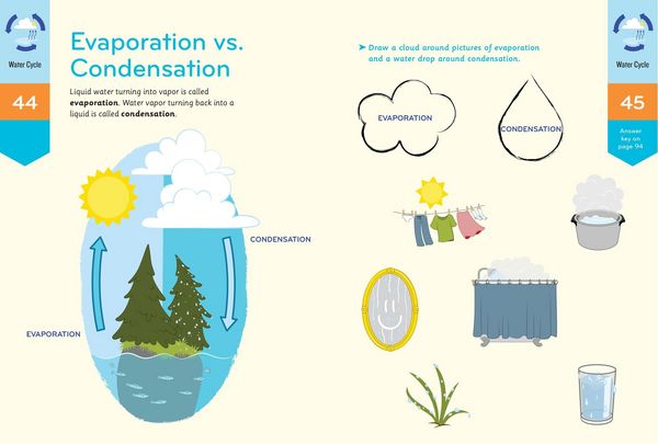 Produktbild: Nature Smarts Workbook: All about Water (Ages 4-6)