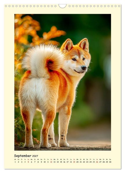 Produktbild: Shiba Inu Momente. Japans elegante Seelenhunde (Wandkalender 2027 DIN A3 hoch), CALVENDO Monatskalender