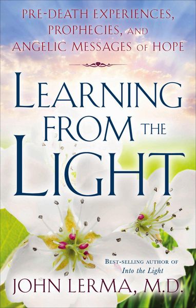 Produktbild: Learning from the Light