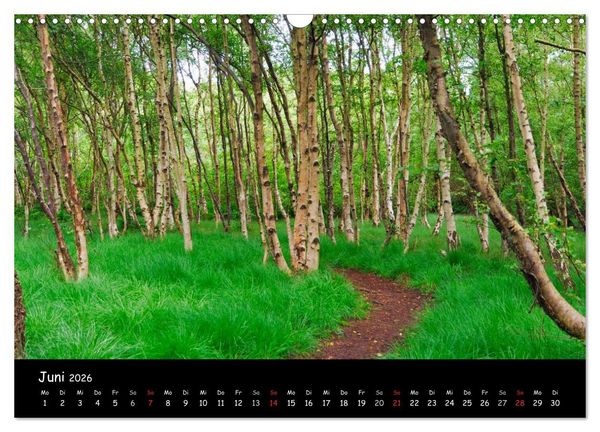 Produktbild: Amrum (Wandkalender 2026 DIN A3 quer), CALVENDO Monatskalender