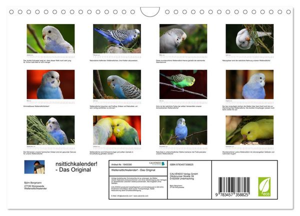 Produktbild: Wellensittichkalender! - Das Original (Wandkalender 2026 DIN A4 quer), CALVENDO Monatskalender