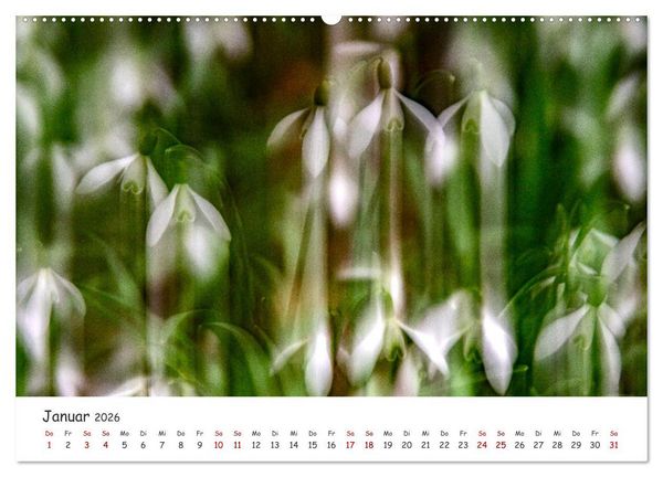 Produktbild: Abstrakte Naturerlebnisse - ICM (Intentional Camera Movement) Fotografie (hochwertiger Premium Wandkalender 2026 DIN A2 quer), Kunstdruck in Hochglanz