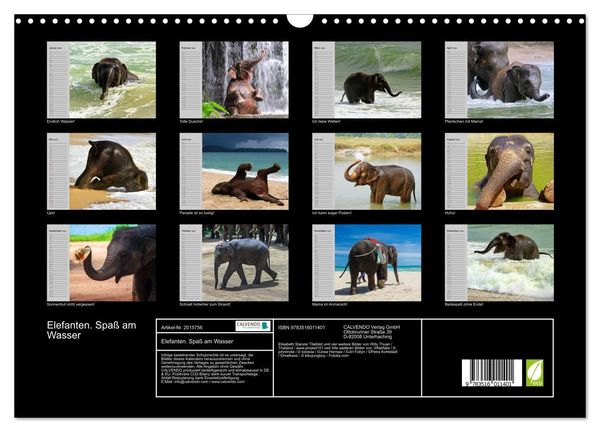 Produktbild: Elefanten. Spa&szlig; am Wasser (Wandkalender 2026 DIN A3 quer), CALVENDO Monatskalender