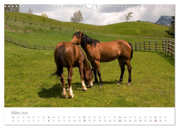 Produktbild: Pferde - Hobby und Leidenschaft (Wandkalender 2026 DIN A3 quer), CALVENDO Monatskalender