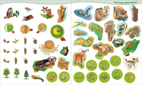 Produktbild: WAS IST WAS Junior Mitmach-Heft Wald