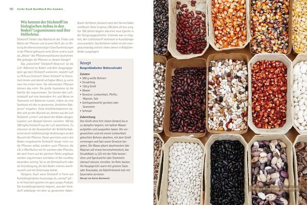 Produktbild: Handbuch Bio-Gem&uuml;se