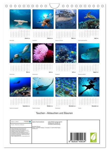 Produktbild: Tauchen - Abtauchen und Staunen (Wandkalender 2026 DIN A4 hoch), CALVENDO Monatskalender