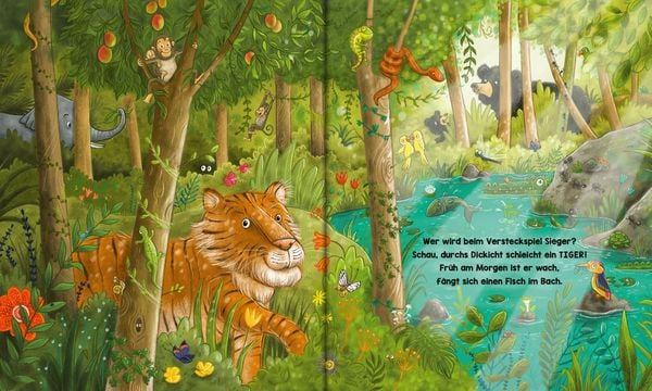 Produktbild: Mein buntes Regenwald Wimmelbuch