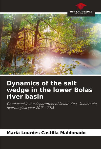 Produktbild: Dynamics of the salt wedge in the lower Bolas river basin