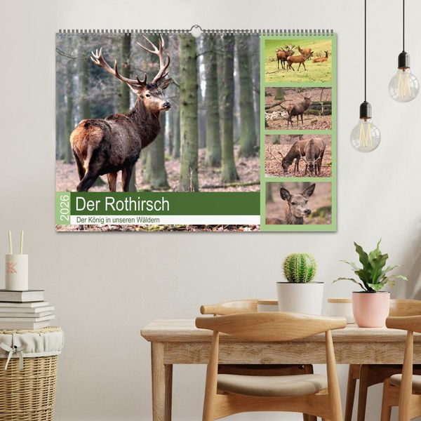 Produktbild: Der Rothirsch - Der K&ouml;nig in unseren W&auml;ldern (Wandkalender 2026 DIN A2 quer), CALVENDO Monatskalender
