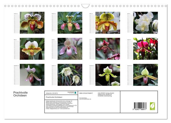 Produktbild: Prachtvolle Orchideen (Wandkalender 2026 DIN A3 quer), CALVENDO Monatskalender