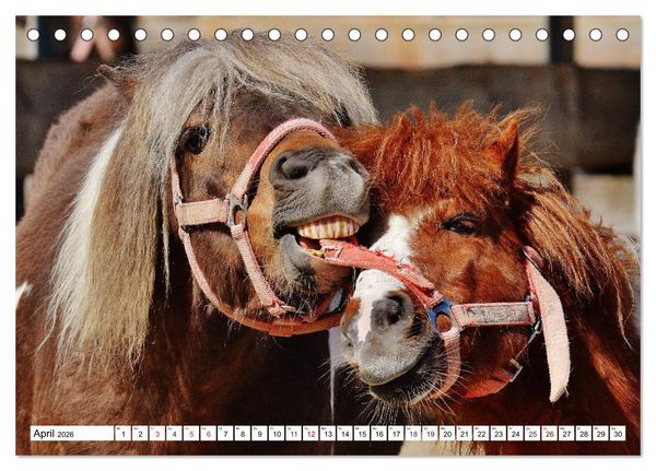 Produktbild: Lustige Tier-Selfies. Tierische Selbstportraits (Tischkalender 2026 DIN A5 quer), CALVENDO Monatskalender