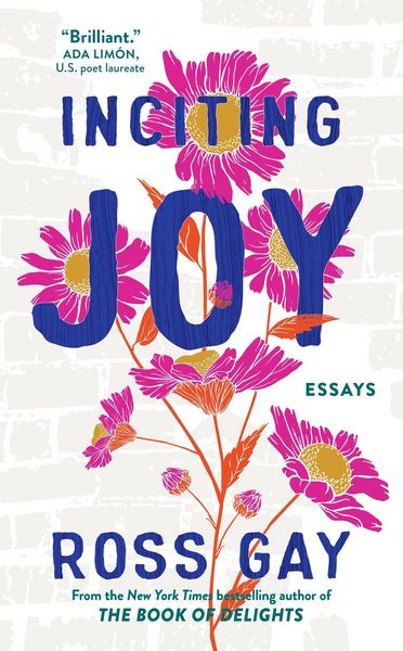 Produktbild: Inciting Joy