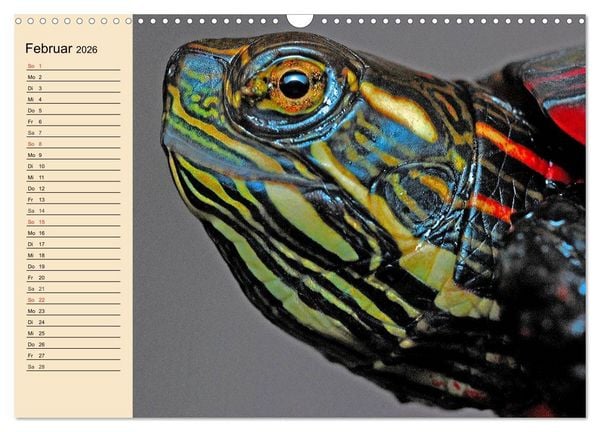 Produktbild: Reptilien. Schlangen, Echsen und Co. (Wandkalender 2026 DIN A3 quer), CALVENDO Monatskalender