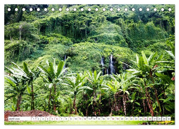 Produktbild: &Icirc;le de la R&eacute;union - Le paradis fran&ccedil;ais dans l'oc&eacute;an Indien (Calendrier de bureau 2026 DIN A5 vertical), CALVENDO calendrier mensuel