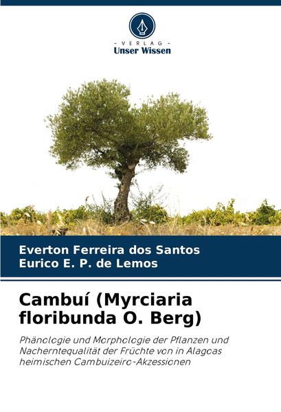 Cambuí (Myrciaria floribunda O. Berg)