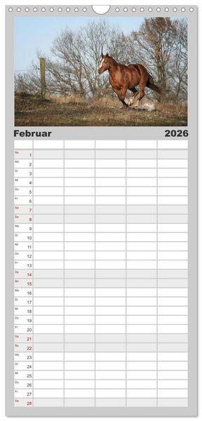 Produktbild: Familienplaner 2026 - Faszination Westernpferde mit 5 Spalten (Wandkalender, 21 x 45 cm) CALVENDO