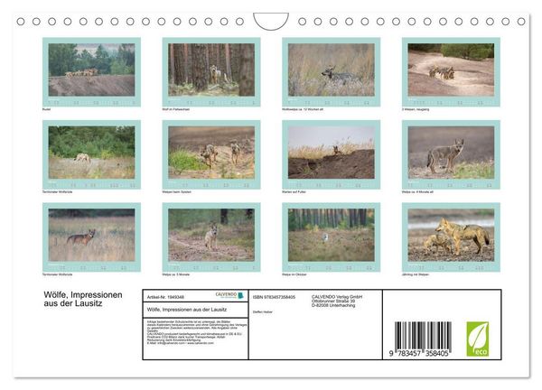 Produktbild: W&ouml;lfe, Impressionen aus der Lausitz (Wandkalender 2026 DIN A4 quer), CALVENDO Monatskalender