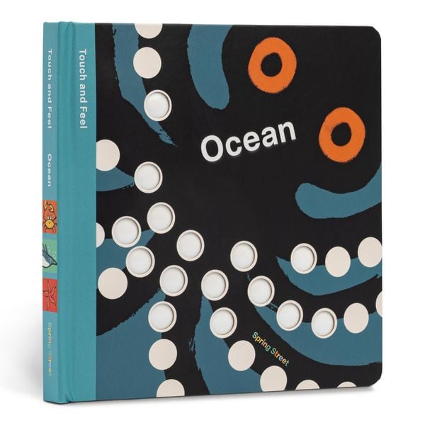 Produktbild: Spring Street Touch and Feel: Ocean