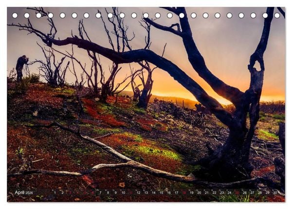 Produktbild: La Isla de La Gomera - Wilde Sch&ouml;nheit im Atlantik (Tischkalender 2026 DIN A5 quer), CALVENDO Monatskalender