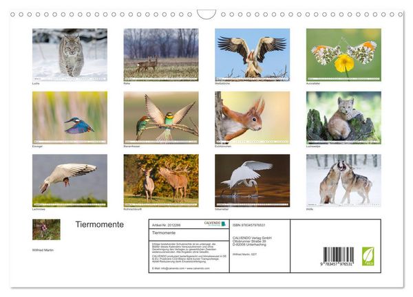 Produktbild: Tiermomente (Wandkalender 2026 DIN A3 quer), CALVENDO Monatskalender