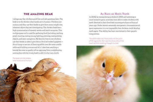Produktbild: How to Speak Chicken
