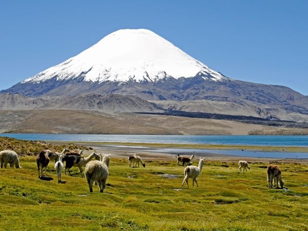 Produktbild: CALVENDO Puzzle Parinacota Vulkan, Lauca Nationalpark, Norte Grande | 1000 Teile Lege-Gr&ouml;&szlig;e 64x48cm Foto-Puzzle f&uuml;r gl&uuml;ckliche Stunden