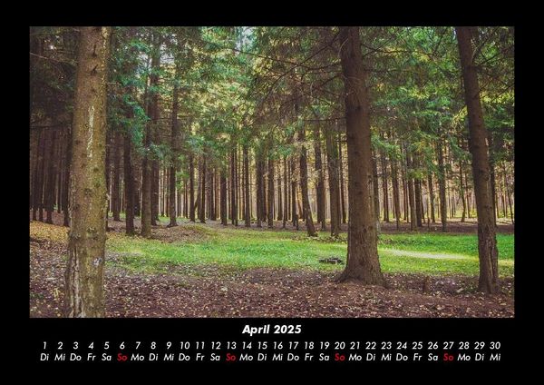 Produktbild: B&auml;ume 2025 Fotokalender DIN A3