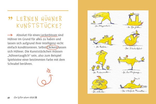 Produktbild: Eine kleine H&uuml;hner-R&auml;tselEI