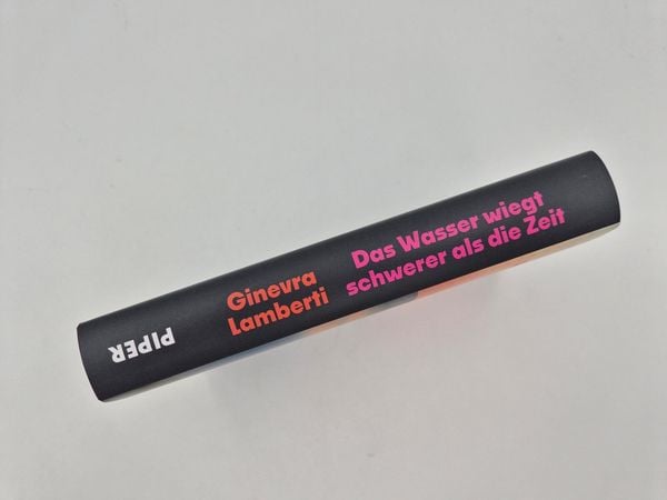 Produktbild: Das Wasser wiegt schwerer als die Zeit