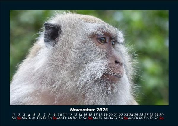 Produktbild: Bali 2025 Fotokalender DIN A5