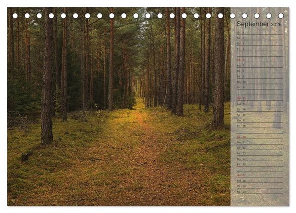 Produktbild: Unser Wald - Magische Sichten in norddeutsche W&auml;lder / Geburtstagskalender (Tischkalender 2026 DIN A5 quer), CALVENDO Monatskalender