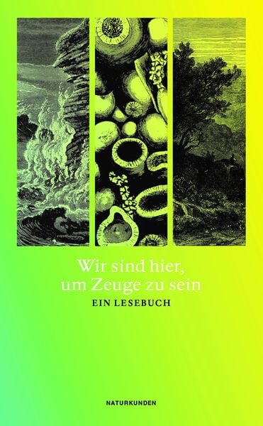 Produktbild: Wir sind hier, um Zeuge zu sein
