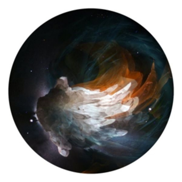 Lights - The Fauns, Vinyl