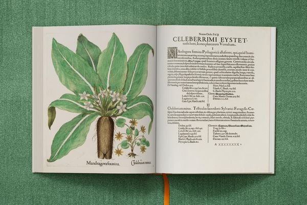 Produktbild: Basilius Besler