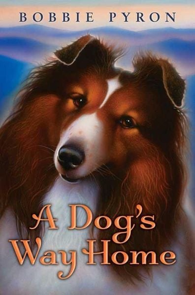 Produktbild: A Dog's Way Home
