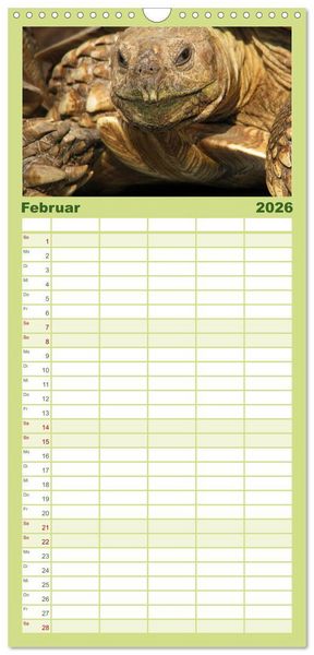 Produktbild: Familienplaner 2026 - Landschildkr&ouml;ten mit 5 Spalten (Wandkalender, 21 x 45 cm) CALVENDO