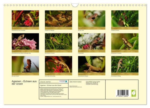 Produktbild: Agamen - Echsen aus der Urzeit (Wandkalender 2026 DIN A3 quer), CALVENDO Monatskalender