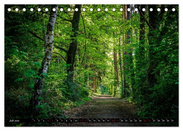 Produktbild: Wege des einfachen Gl&uuml;cks - Spazierg&auml;nge im Wald (Tischkalender 2026 DIN A5 quer), CALVENDO Monatskalender