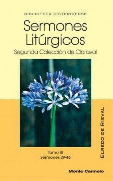 Produktbild: Sermones Liturgicos Iii