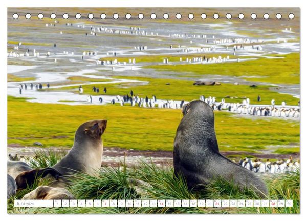 Produktbild: Antarktis - Das Reich der Pinguine (Tischkalender 2026 DIN A5 quer), CALVENDO Monatskalender