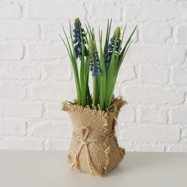 Produktbild: BOLTZE Topfpflanze Harmony 19cm 3fach sortiert